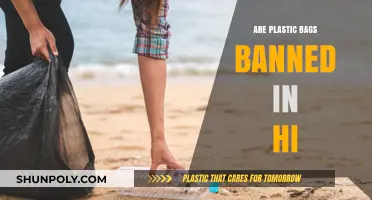 Hawaii's Plastic Bag Ban: What You Need to Know