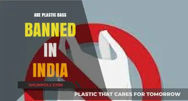 India's Plastic Bag Ban: Effective or Not?