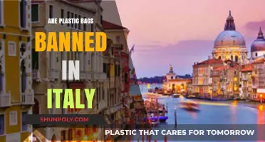 Italy's Ban on Plastic Bags: A Success Story