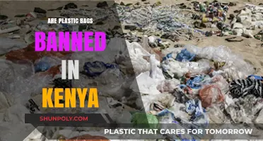 Kenya's Strict Plastic Bag Ban: What's the Impact?