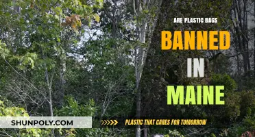 Maine's Plastic Bag Ban: What You Need to Know