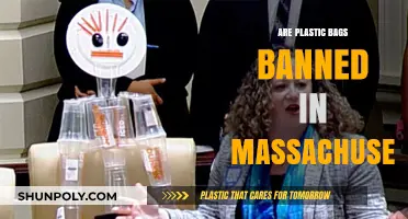 Plastic Bags: Banned or Not in Massachusetts?