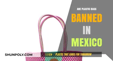 Mexico's Plastic Bag Ban: A Successful Environmental Move?