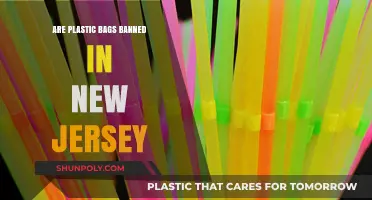 New Jersey's Plastic Bag Ban: What You Need to Know