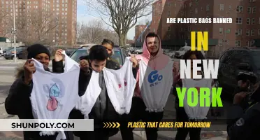 The Battle Against Plastic Bags in New York