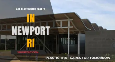 Plastic Bag Ban: Newport, RI's New Law Explained