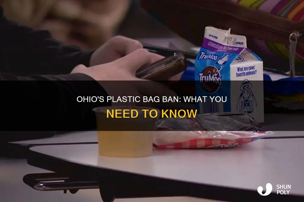 Ohio's Plastic Bag Ban: What You Need To Know | ShunPoly