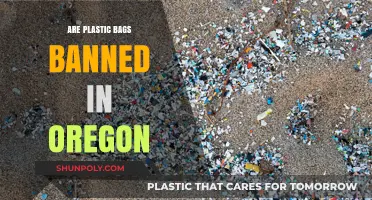 Oregon's Plastic Bag Ban: What You Need to Know