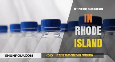 Rhode Island's Plastic Bag Ban: What You Need to Know