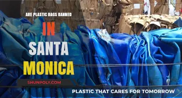 Santa Monica's Plastic Bag Ban: What You Need to Know