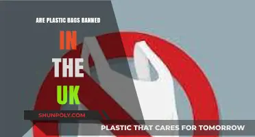 UK's Plastic Bag Ban: Impact and Future Plans