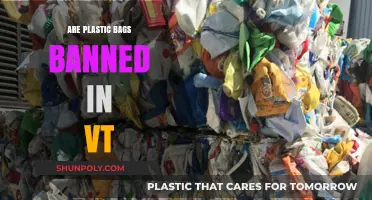 Vermont's Plastic Bag Ban: What You Need to Know