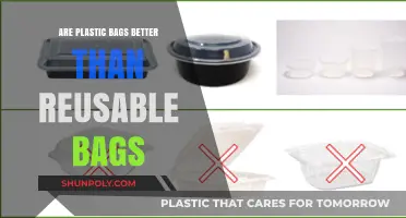 Plastic vs Reusable: Which Bag Wins?