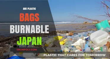 Plastic Bag Burning in Japan: Is It Possible?