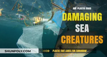 Plastic Bags: A Deadly Threat to Marine Life