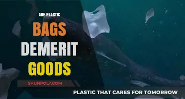 Plastic Bags: Understanding Their Negative Impact