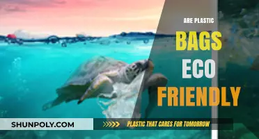 Plastic Bags: Eco-Friendly or Environmental Disaster?