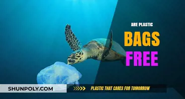 Plastic Bags: A Costly Convenience