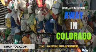 Colorado's Plastic Bag Ban: What's Next?