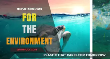 Plastic Bags: Environmental Friend or Foe?