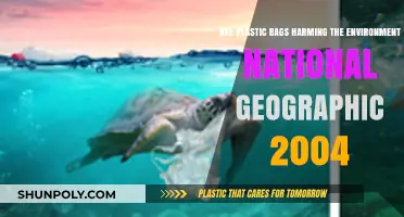 Plastic Bags: Environmental Impact and Solutions