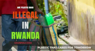 Are Plastic Bags Illegal in Rwanda? Understanding the Country's Ban