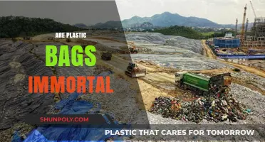 Plastic Bags: Immortal Environmental Threat?