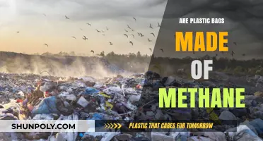 Plastic Bags: Methane's Surprising Connection