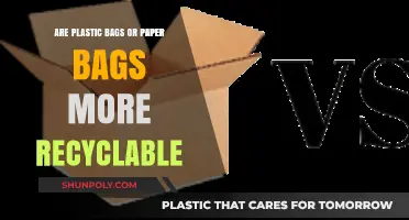 Recycling: Paper or Plastic? Which Bag is Better?