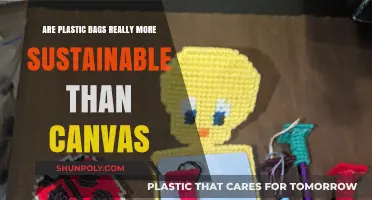 Plastic vs Canvas: Which Bag is Truly Eco-Friendly?