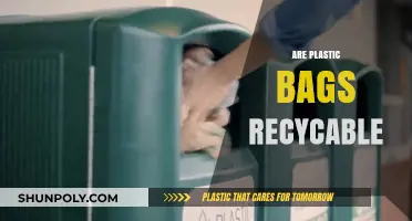 Plastic Bags: Recycle or Reuse?