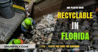Florida's Plastic Bag Recycling: What's the Deal?
