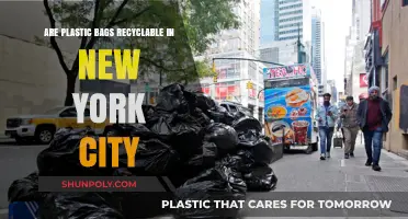 Recycling Plastic Bags in NYC: What You Need to Know