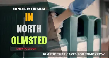 Recycling Plastic Bags: North Olmsted's Guide