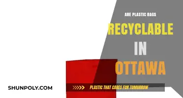 Recycling Plastic Bags in Ottawa: What You Need to Know