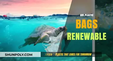Plastic Bags: Renewable or Not?