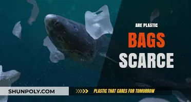 The Scarcity of Plastic Bags: An Environmental Paradox