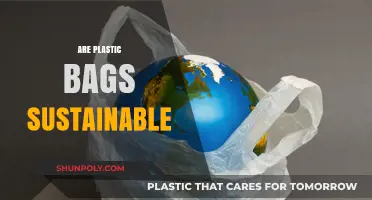 Plastic Bags: Sustainable or Not?