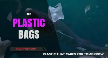 The Dark Side of Plastic Bags