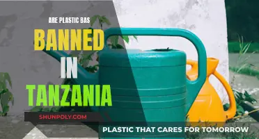 Tanzania's Plastic Bag Ban: Impact and Future