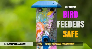 Eco-Friendly Feeding: Unveiling the Truth About Plastic Bird Feeders