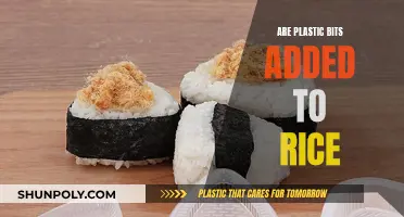 Plastic Rice: Is It Real?