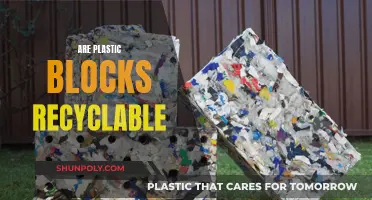 Unraveling the Mystery: Can Plastic Blocks Be Recycled?