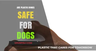 Chew on This: The Truth About Plastic Bones for Dogs
