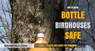 Are Plastic Bottle Birdhouses Safe for Our Feathered Friends?