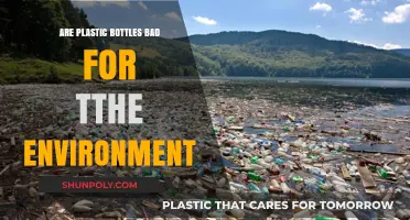 Plastic Bottles' Environmental Impact: Harmful Effects and Sustainable Alternatives