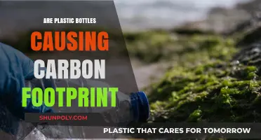 Plastic Bottles' Hidden Impact: Uncovering Their Carbon Footprint Crisis