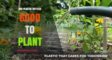 Plastic Bottles for Planting: Eco-Friendly or Harmful Choice?