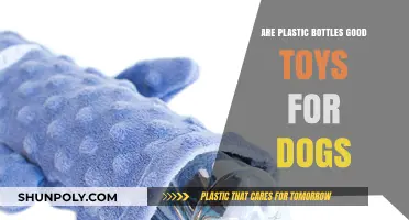Plastic Bottles as Dog Toys: Safe, Fun, or Risky?