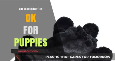 Are Plastic Bottles Safe for Puppies? What Pet Owners Need to Know
